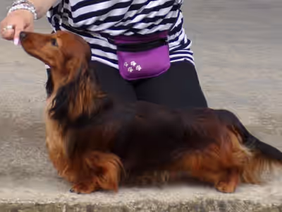 Felix Fox s Berega Lena