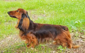 Nazar Katerinapark