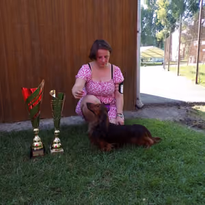 Tarantela - 3